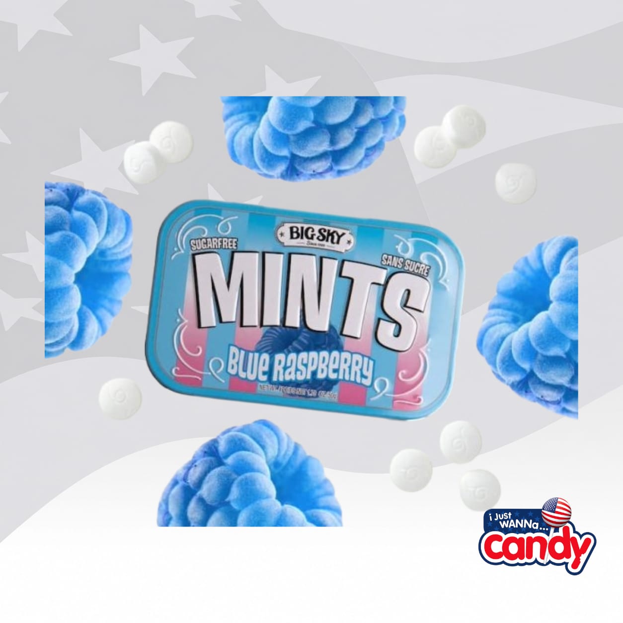 Big Sky Mints Blue Raspberry 1.76oz (50g) Canada