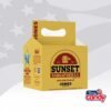 Jones Soda Sunset Sarsaparilla 4 Pack Cardboard Carrier