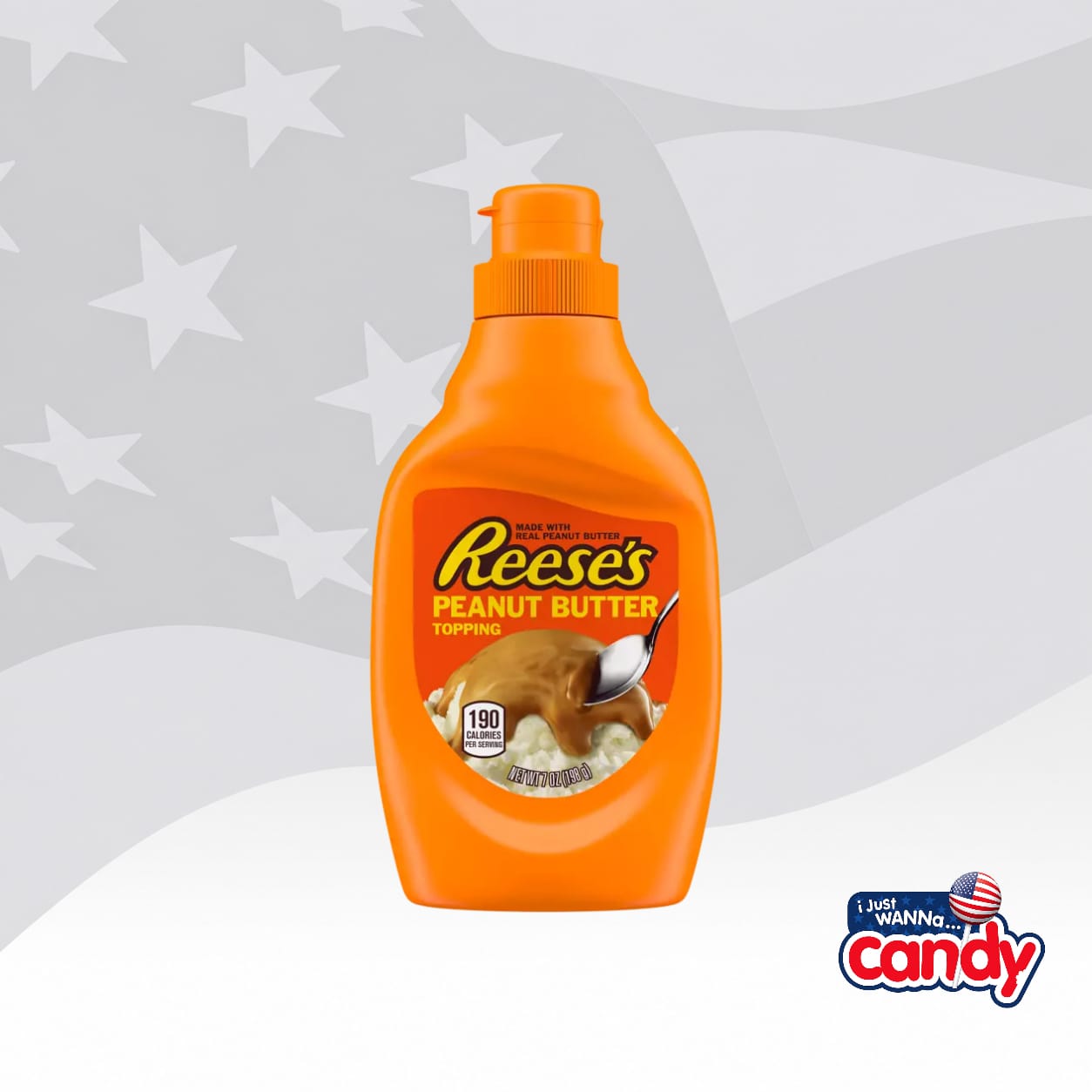 Reeses Peanut Butter Topping 7oz (198g)